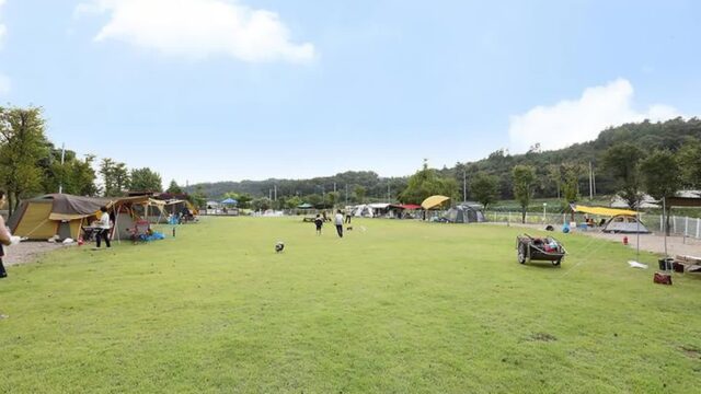 충남 피플앤독 힐링캠핑장, 반려견과 함께하는 예산 캠핑