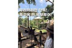 푸꾸옥 빈펄사파리 빈원더스 콤보 북부 단독투어 후기