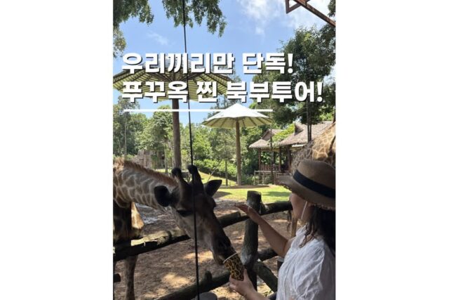 푸꾸옥 빈펄사파리 빈원더스 콤보 북부 단독투어 후기