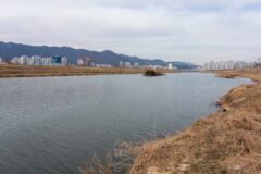 전남 가산수변공원 축제, 여름 물놀이 명소로 떠오르다