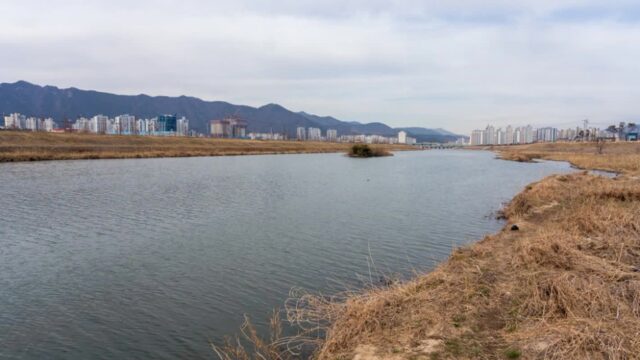 전남 가산수변공원 축제, 여름 물놀이 명소로 떠오르다