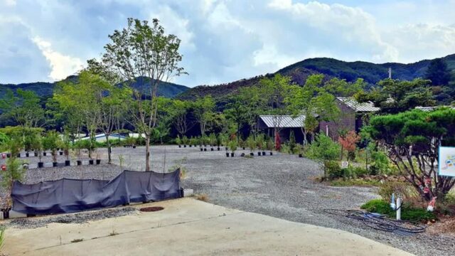 “10,000㎡의 자연 속 이렇게 힐링한다니!”… 충남 공주 캠핑노리 명소