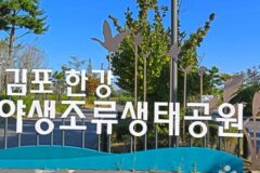 경기 김포 사색의 길 숙소, 자연 속 힐링 산책로 매력
