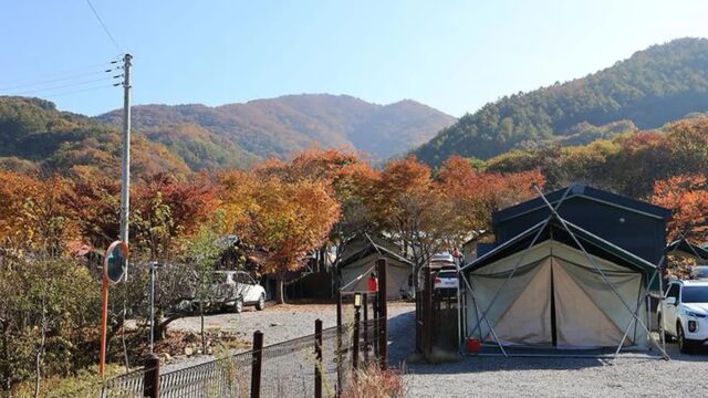 “포천에 이런 곳이 있대요: 100개 사이트 캠핑 천국”… 여름엔 물놀이로 인기 폭발 여행지