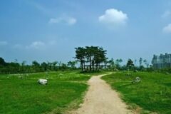 경기 안산호수공원, 자연 속 여유로운 가볼만한 곳
