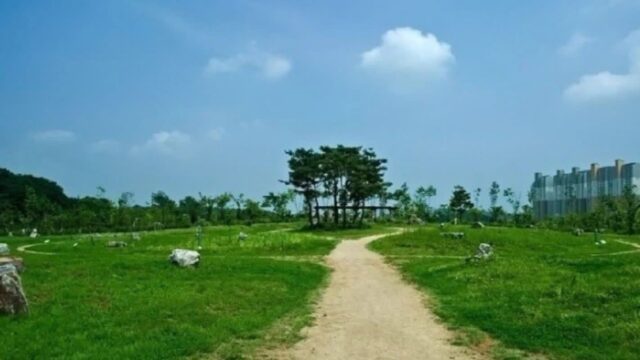 경기 안산호수공원, 자연 속 여유로운 가볼만한 곳
