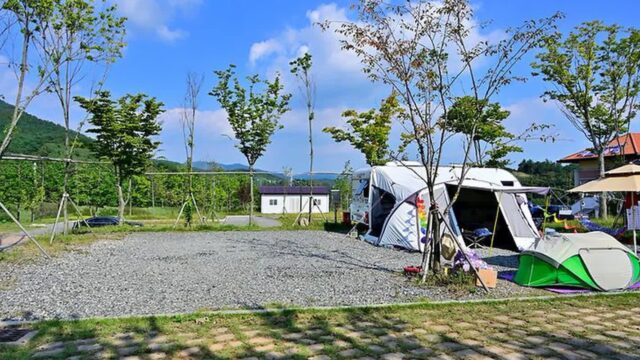 “보성강과 함께할 수 있다니!”… 울창한 숲과 맑은 공기 속 힐링 명소