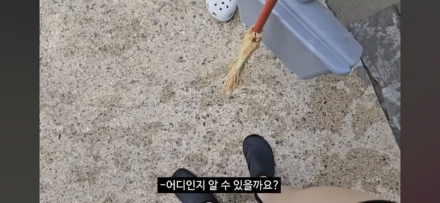 극성수기 캐리비안베이에서 혼자 놀다 온 지새기