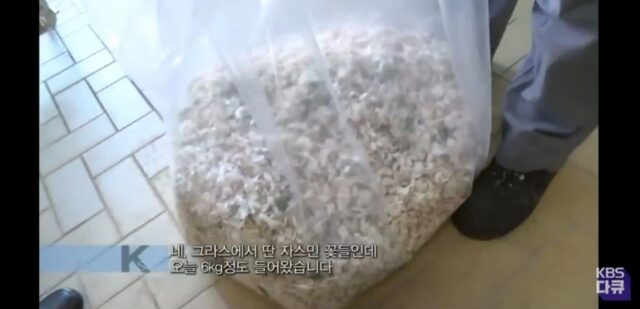 천연향료보다 엄청 싼 인공향료와 향료가 주는 위험성