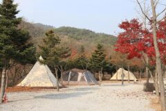 춘천 프라임캠핑장 축제, 가족과 자연 속 여름휴가