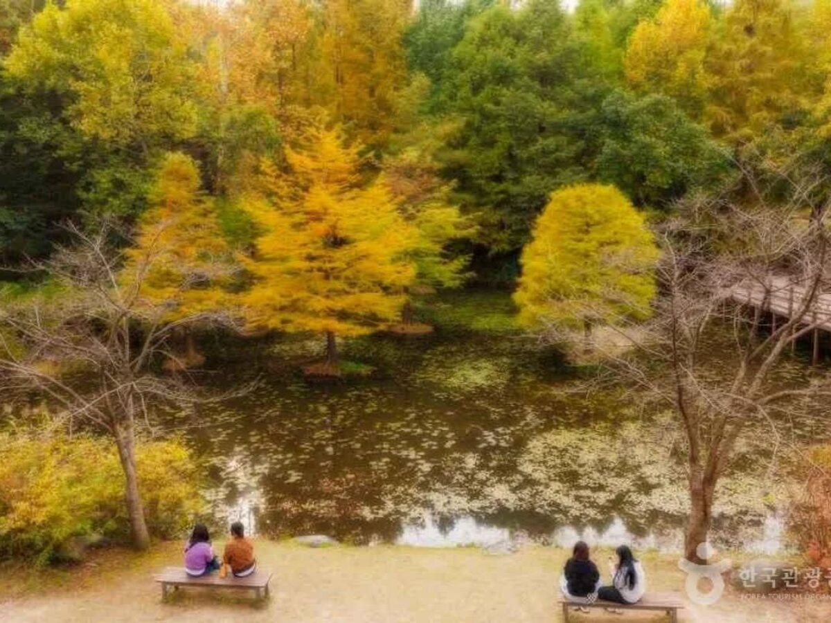 오산 가볼만한곳 최신 여행 코스 BEST 6 | 오늘의모두