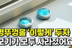 창문에 병뚜껑을 ‘이렇게’ 두었더니 모기가 전부 사라졌습니다