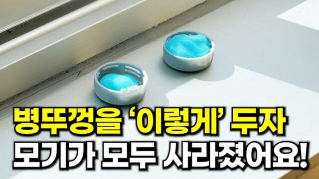창문에 병뚜껑을 ‘이렇게’ 두었더니 모기가 전부 사라졌습니다