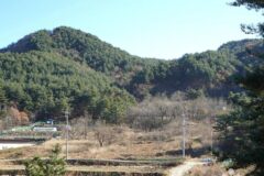 강원 청대산 축제, 여름휴가 명소 방문 전 필수 정보