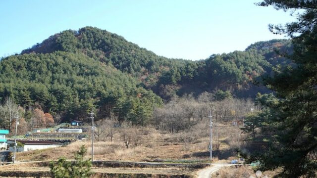 강원 청대산 축제, 여름휴가 명소 방문 전 필수 정보
