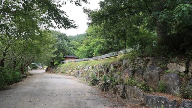 “하늘에 별이 이렇게 많다니?”… 서운산 기슭의 숲속 캠핑 명소
