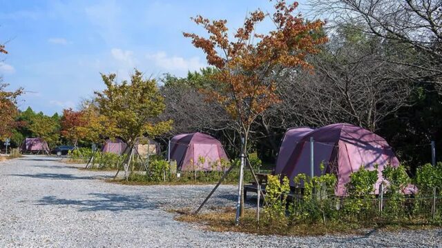 “10만㎡ 크기가 이렇게 넓다니!”… 자연 속 안락한 휴식의 명소