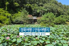 우리나라 문화유산 | 경북 여행 안동 여행지 보물 체화정 안동 볼거리