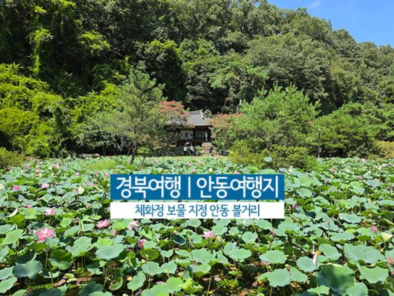 우리나라 문화유산 | 경북 여행 안동 여행지 보물 체화정 안동 볼거리