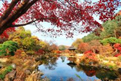 경기 아침고요수목원 축제, 자연과 힐링의 여행지