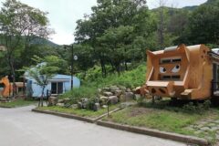 “500,000㎡ 면적에 이런 청량함이라니!”… 자연 그대로의 팔공산 명소