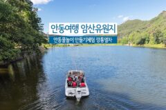 안동 여행 암산유원지 안동 물놀이 만들기 체험 깡통열차 구리측백나무자생지 탐방