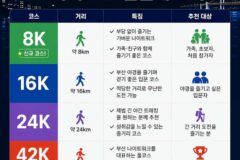 “11시간 잠도 안자고 걷는다고요?” 부산 밤거리 42km 걷는 이색 축제의 정체는?