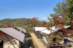 “서울 한복판에 이런 자연이?”… 10,000㎡ 드넓은 잔디밭 글램핑 명소