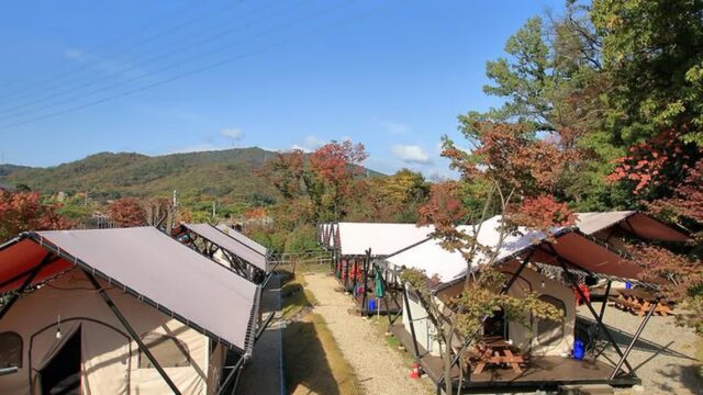 “서울 한복판에 이런 자연이?”… 10,000㎡ 드넓은 잔디밭 글램핑 명소