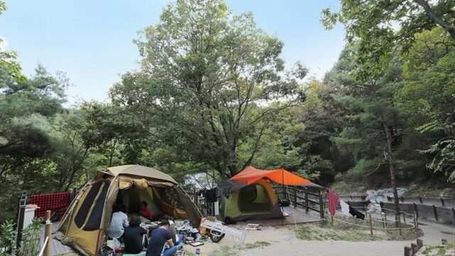 충남 영인산자연휴양림 숲속야영장, 여름 캠핑에 최적