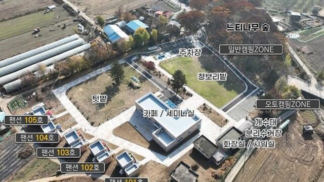 “이런 곳이 있다니…!” 30년 된 느티나무 숲 속 캠핑장 명소