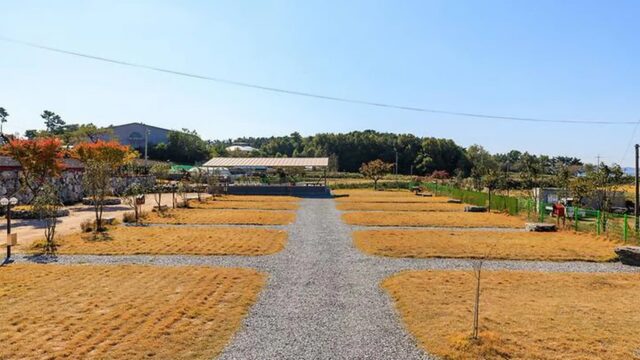“서울에서 120km 거리인데 이런 자연!”… 2만 평 초록 숲 캠핑 명소