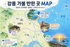 “인스타 피드 싹 바뀔 예정” 분위기 대박인 강릉 가볼 만한 곳