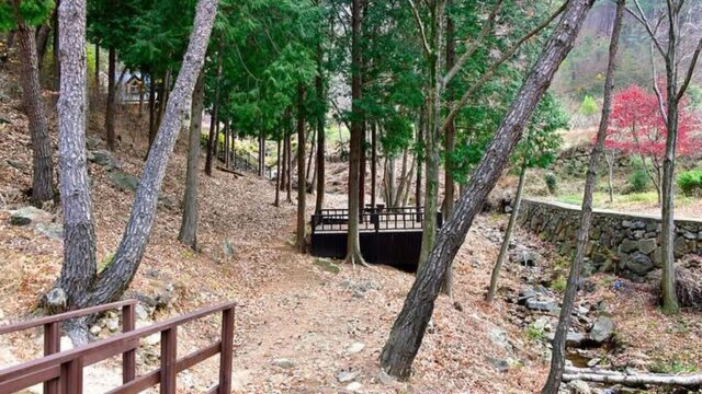순천국민여가캠핑장, 광주서 즐기는 자연 속 무장애 여행