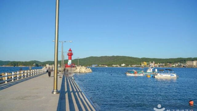 충남 만리포항 여름 축제, 물놀이와 해양 활동 즐기기