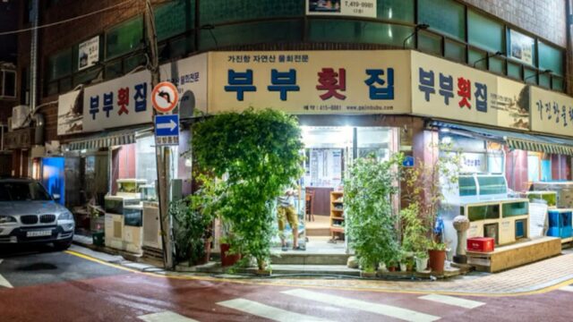 “서울 도심에서 이런 신선한 회라니?”… 싱싱한 활어들로 가득한 부부횟집 명소