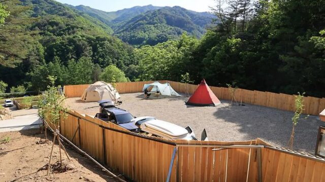 “300평 캠핑장에 반려동물도 자유라니?”… 자작나무 숲 속 자연 여행지