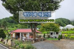평창카페 애플선셋 평창숙소를 나만의 독채펜션으로 용구니 아지트