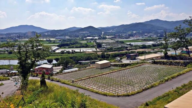 경기 에버오토캠핑장 당일치기 여행, 자연 속 힐링 코스