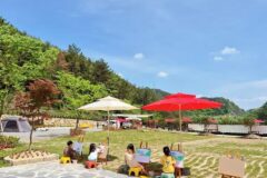 “100만 평 자연 속 힐링 여행!”… 경남 진주의 진짜 끝판왕 명소