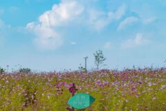 양구 가볼만한곳 BEST 6 – 2026 최신판