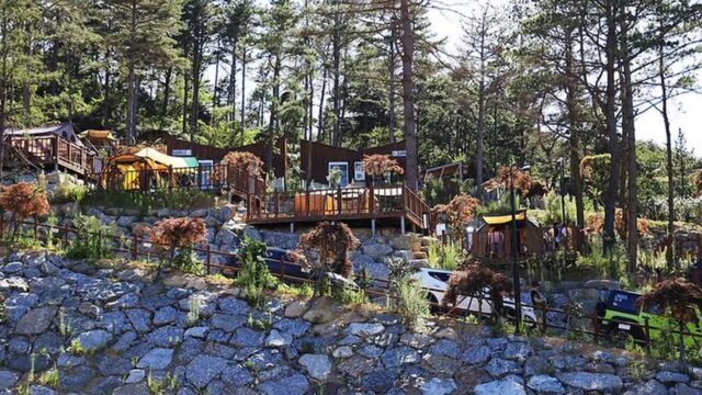 “10,000㎡의 자연 속 캠핑장, 진짜 힐링이라니”… 월출산의 절경을 만끽할 캠핑 명소
