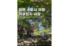 일본소도시여행 고치현 치쿠린지 사찰 10월 11월 단풍명소
