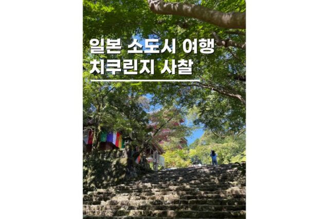 일본소도시여행 고치현 치쿠린지 사찰 10월 11월 단풍명소