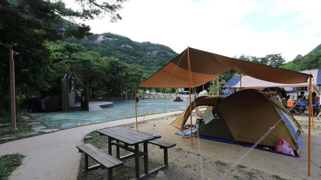 “아침 햇살이 이렇게 부드럽게 비춘다니”… 제천에서 20km, 10,000㎡ 캠핑 천국 월악산명소