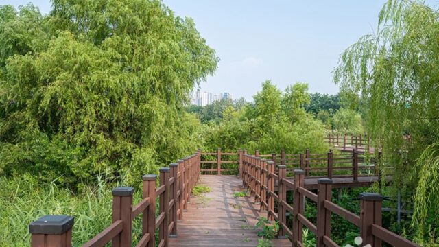 경기 봉골근린공원, 여름휴가에 가볼만한 자연 쉼터