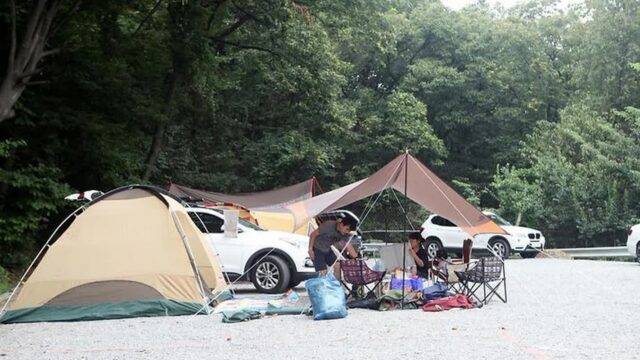 “캠핑장이라니, 이런 전망은 처음이야”… 산 중턱에서 210번지의 평화로운 자연 여행지