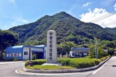 충북 단양 남천 야영장 축제, 청정 자연 속 여름 휴가