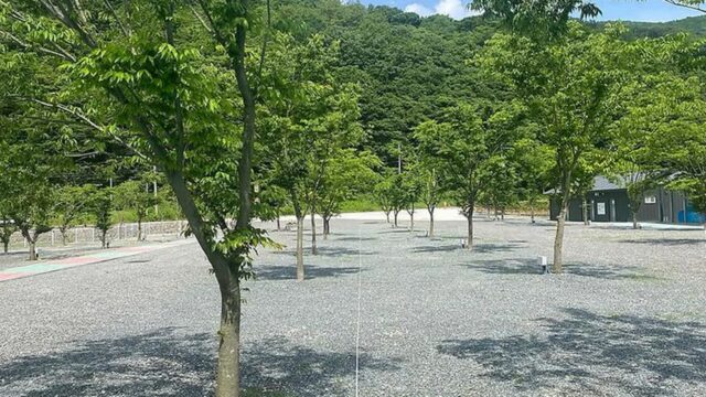 “30,000㎡ 캠핑장에 밤하늘 별들이 라니?”… 경주에서 자연 만끽하는 여행지