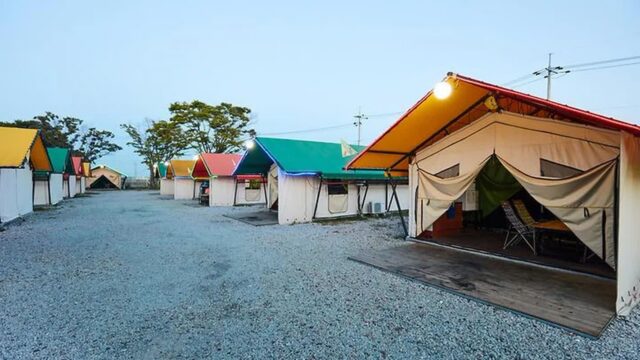 “2만 평 자연 속, 이런 여유가 있었나요?”… 서울에서 단 1시간 30분 거리인 힐링 여행지